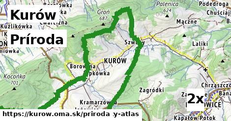 príroda v Kurów