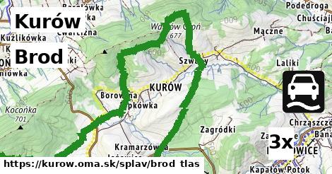 Brod, Kurów