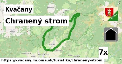 Chranený strom, Kvačany, okres LM