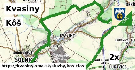 Kôš, Kvasiny