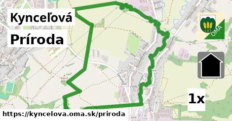 príroda v Kynceľová