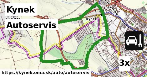 Autoservis, Kynek