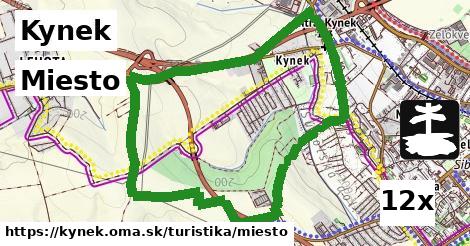 Miesto, Kynek