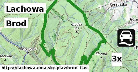 Brod, Lachowa