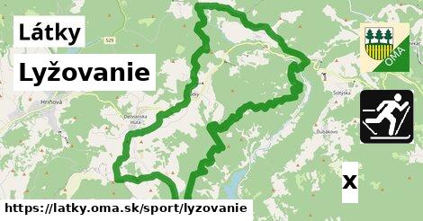 Lyžovanie, Látky