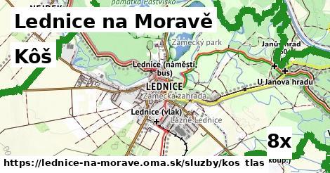 kôš v Lednice na Moravě