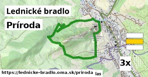 príroda v Lednické bradlo