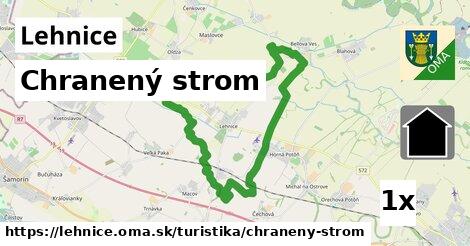 Chranený strom, Lehnice