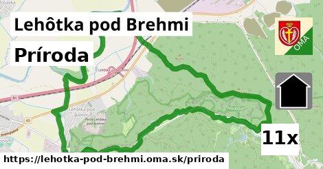 príroda v Lehôtka pod Brehmi