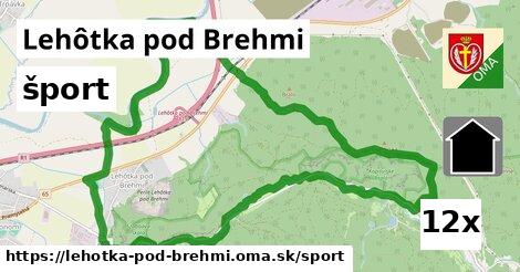 šport v Lehôtka pod Brehmi