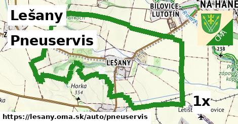 pneuservis v Lešany