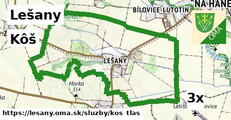 kôš v Lešany