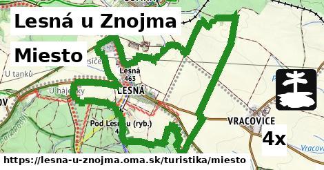 Miesto, Lesná u Znojma