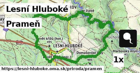 Prameň, Lesní Hluboké
