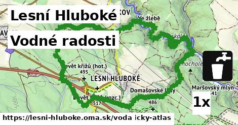 vodné radosti v Lesní Hluboké