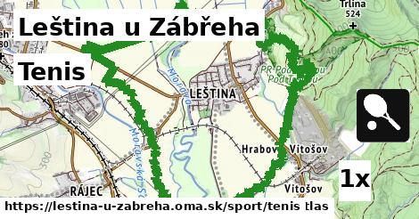 Tenis, Leština u Zábřeha