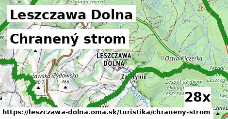 Chranený strom, Leszczawa Dolna