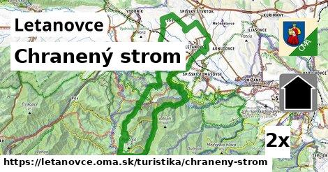 Chranený strom, Letanovce