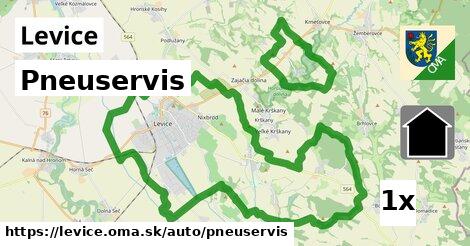 Pneuservis, Levice