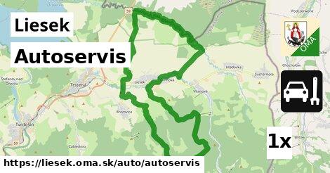 Autoservis, Liesek