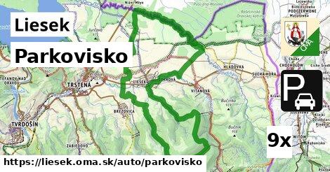 Parkovisko, Liesek