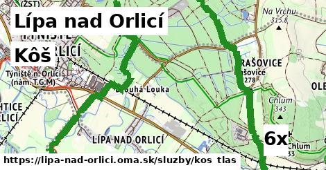 Kôš, Lípa nad Orlicí