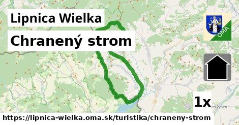 chranený strom v Lipnica Wielka