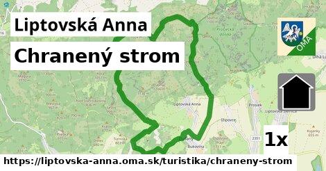 Chranený strom, Liptovská Anna