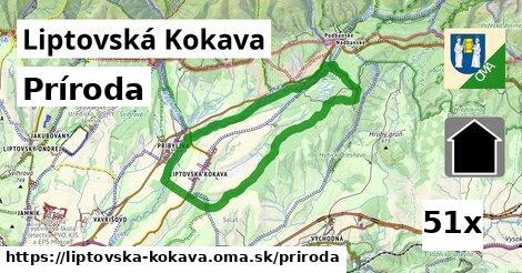 príroda v Liptovská Kokava