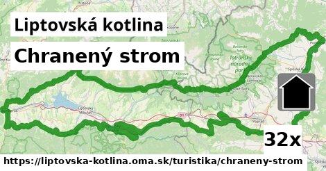 Chranený strom, Liptovská kotlina