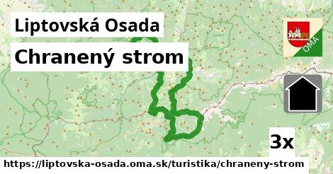 Chranený strom, Liptovská Osada