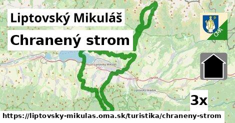 Chranený strom, Liptovský Mikuláš