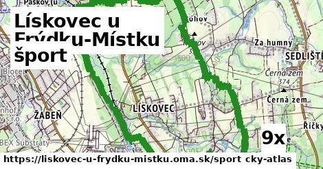 šport v Lískovec u Frýdku-Místku