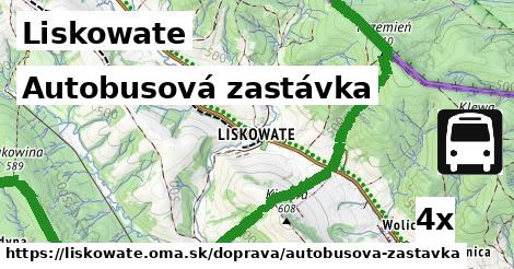 Autobusová zastávka, Liskowate