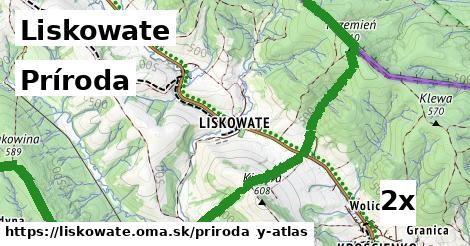 príroda v Liskowate