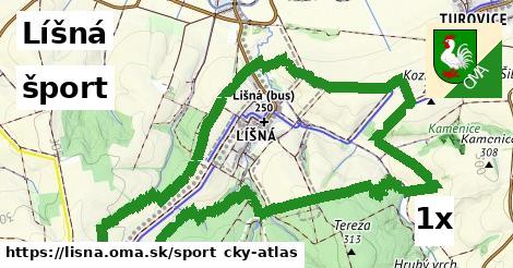 šport v Líšná