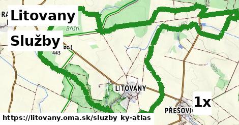 služby v Litovany