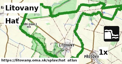 Hať, Litovany