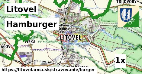 Hamburger, Litovel