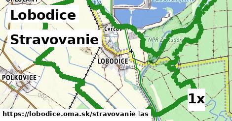 stravovanie v Lobodice