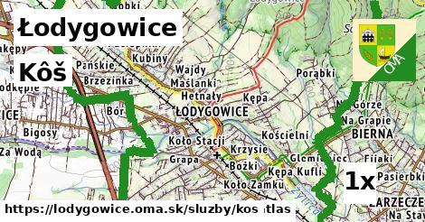 Kôš, Łodygowice