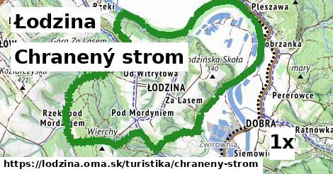 Chranený strom, Łodzina