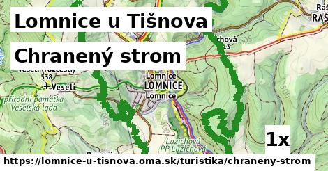 Chranený strom, Lomnice u Tišnova