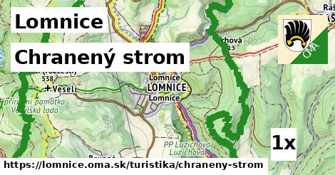 chranený strom v Lomnice