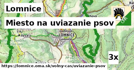 Miesto na uviazanie psov, Lomnice