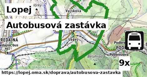 Autobusová zastávka, Lopej