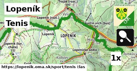 Tenis, Lopeník