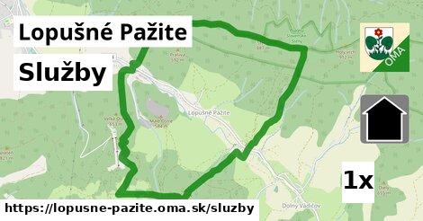 služby v Lopušné Pažite