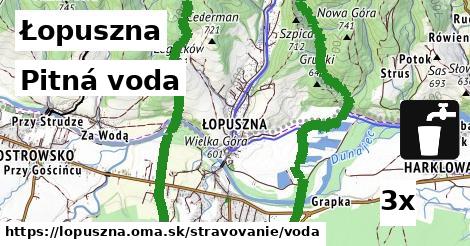 pitná voda v Łopuszna