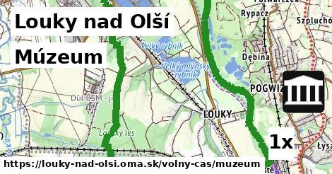 Múzeum, Louky nad Olší